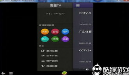 91电视直播电脑版官方,畅享海量直播，尽在指尖