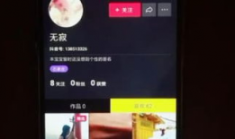 打飞机视频,揭秘刺激打飞机游戏瞬间